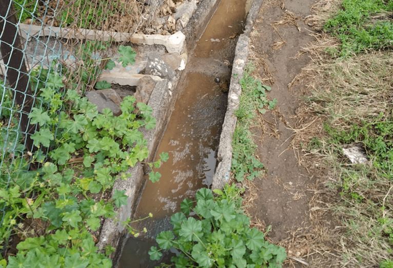 Imagen del vertido / TA